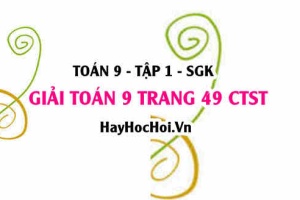 Giải Toán 9 trang 49 tập 1 Chân trời sáng tạo SGK